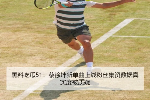 黑料吃瓜51：蔡徐坤新单曲上线粉丝集资数据真实度被质疑